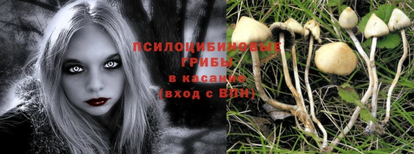 дурь Козельск