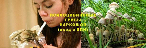 дурь Козельск