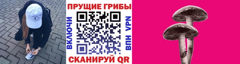 купить наркотик  Малоархангельск  Галлюциногенные грибы ЛСД 